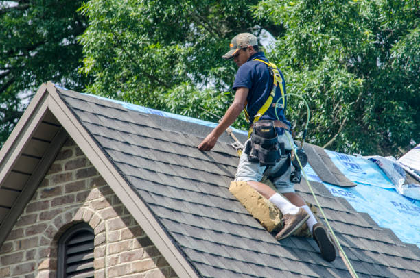 Best Gutter Installation and Roofing  in St Louis, MO